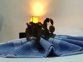 Casa de Los Berrios - Room