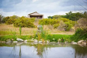 Thali Thali Game Lodge - View from room