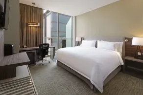 Holiday Inn Express & Suites Monterrey Valle by IHG - Utsikt från rummet