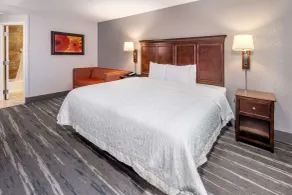 Hampton Inn Nashville/Vanderbilt - Chambre