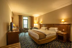 Bristol Hotel - Room