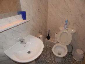 Llanryan Guest House - Salle de bain