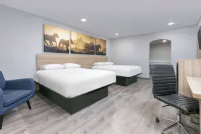Days Inn by Wyndham South Fort Worth - Chambre