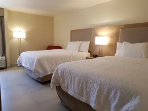 Hampton Inn by Hilton Monterrey-Airport - Chambre