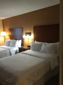 Radisson Hotel Detroit Metro Airport - Værelse