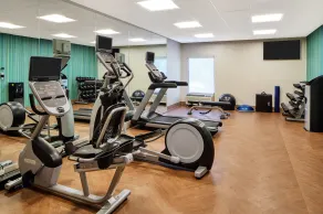 Holiday Inn Express Statesboro by IHG - Salle de remise en forme