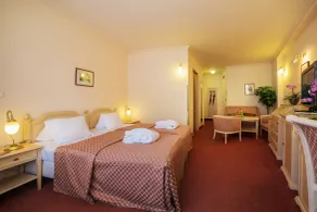 Interhotel Central - Chambre
