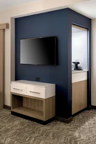SpringHill Suites by Marriott Tampa Suncoast Parkway - Habitación