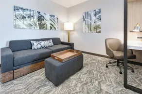 SpringHill Suites by Marriott Dallas Mansfield - Chambre