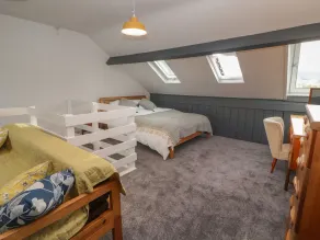 Badgers - Room
