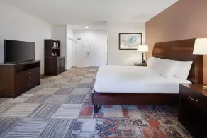 Hilton Garden Inn Tyler - Rum