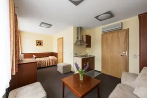 ORO Dubingiai - Room