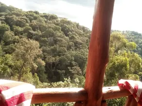 Ruhija Community Rest Camp - View from room