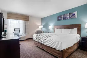 Sleep Inn & Suites Auburn Campus Area I-85 - Chambre