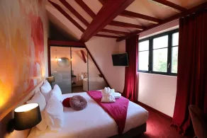 Hôtel-SPA Le Moulin De La Wantzenau - Strasbourg Nord - Værelse