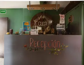 Hostal Cuca Macuca - Réception
