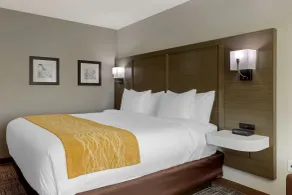 Comfort Inn Jonesboro Central - Chambre