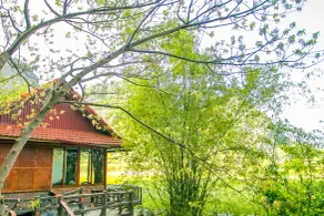 Lotus Field Homestay - Chambre