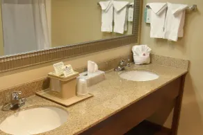 Comfort Suites Linn County Fairground and Expo - Bathroom