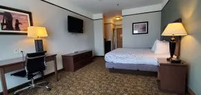 Best Western Plus Emory at Lake Fork Inn & Suites - Værelse