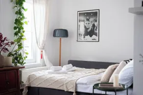 Charming Prague Apartment in Vršovice With Roof Terrace - Camera