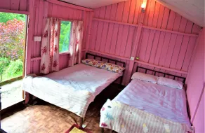 Jungle Crown Organic Homestay - Room