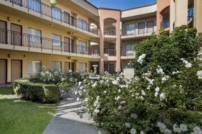 MainStay Suites Orange County John Wayne Airport - Pool