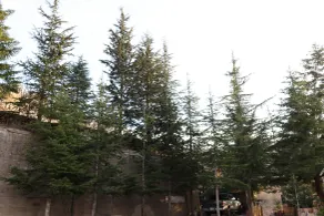 Chateau Deau Faraya - Udsigt fra værelset