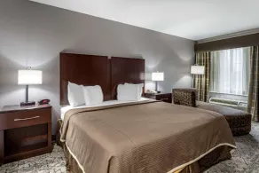 Best Western Oakdale Inn - Værelse