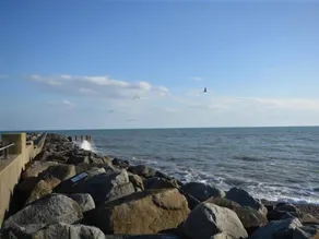 Seacliff - Interior