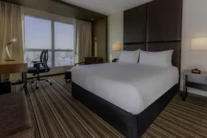 Hilton Garden Inn Neuquen - Room