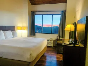 Unicoi State Park & Lodge - Chambre