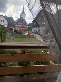 Schwarzwaldhaus Angelhof - Udsigt fra værelset