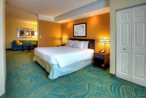 SpringHill Suites by Marriott - Tampa Brandon - Habitación