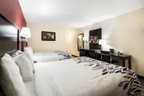 Red Roof Inn Murfreesboro - Room