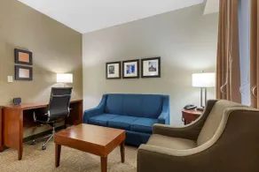 Comfort Suites Fredericksburg South - Chambre
