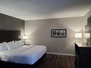 Comfort Inn Boston Milford - Chambre