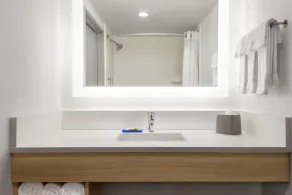 Holiday Inn Express Dumfries-Quantico by IHG - Salle de bain