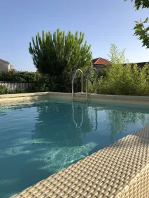 Zebra - Pool