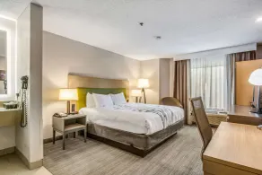 Sleep Inn Fort Mill near Carowinds Blvd - Chambre