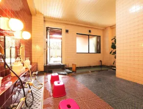 Hotel Grace Hakuba - Fitnessfaciliteter