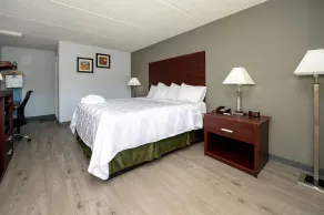 Americas Best Value Inn at Central Valley-Woodbury - Room