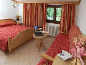 Hotel Valle Verde - Rent Ski & Bike - Rom