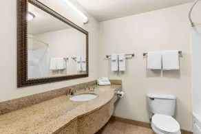 Best Western Legacy Inn & Suites Beloit/South Beloit - Bathroom