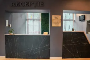 Hotel Alexis - Reception