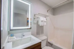 Microtel Inn and Suites by Wyndham Anderson SC - Salle de bain