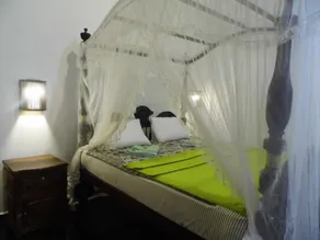 Saman Resort Yala - Chambre