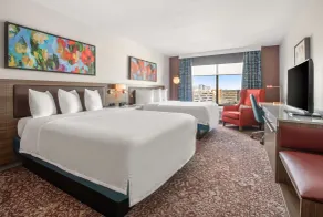 Hilton Garden Inn Dallas-Allen - Chambre