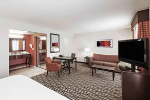 Hampton Inn & Suites Morgan City - Chambre