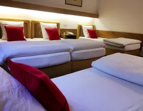 Hôtel de la Forêt - Chambre